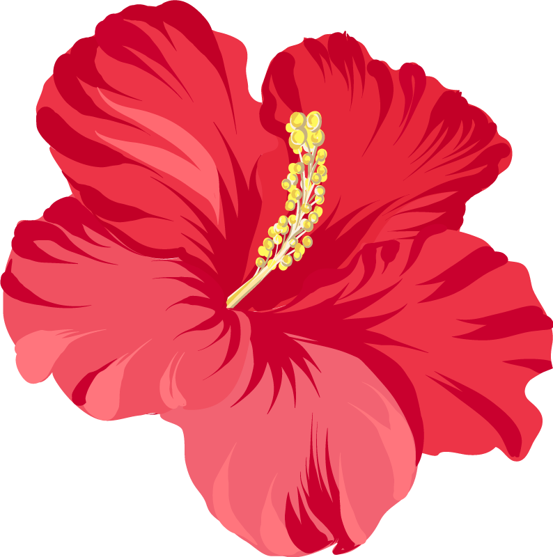 Vinyl tapijt bloemen en planten rode hibiscus set - TenStickers