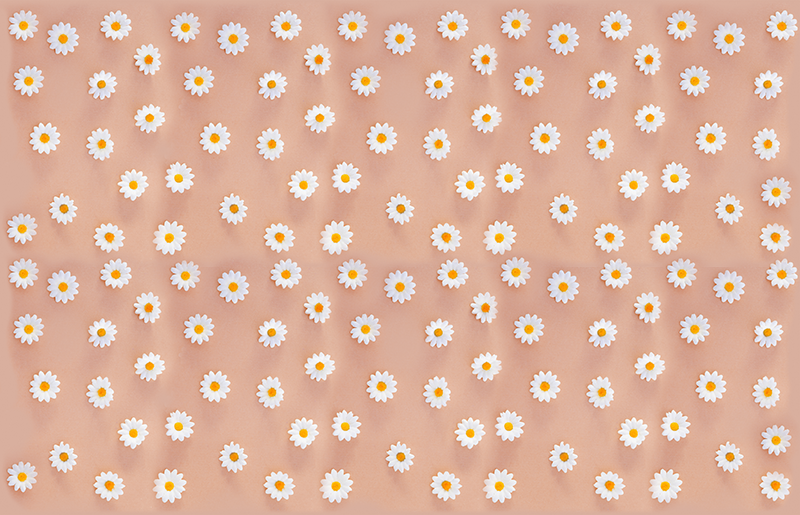 Vinyl tapijt bloemen en planten modern madeliefjespatroon - TenStickers