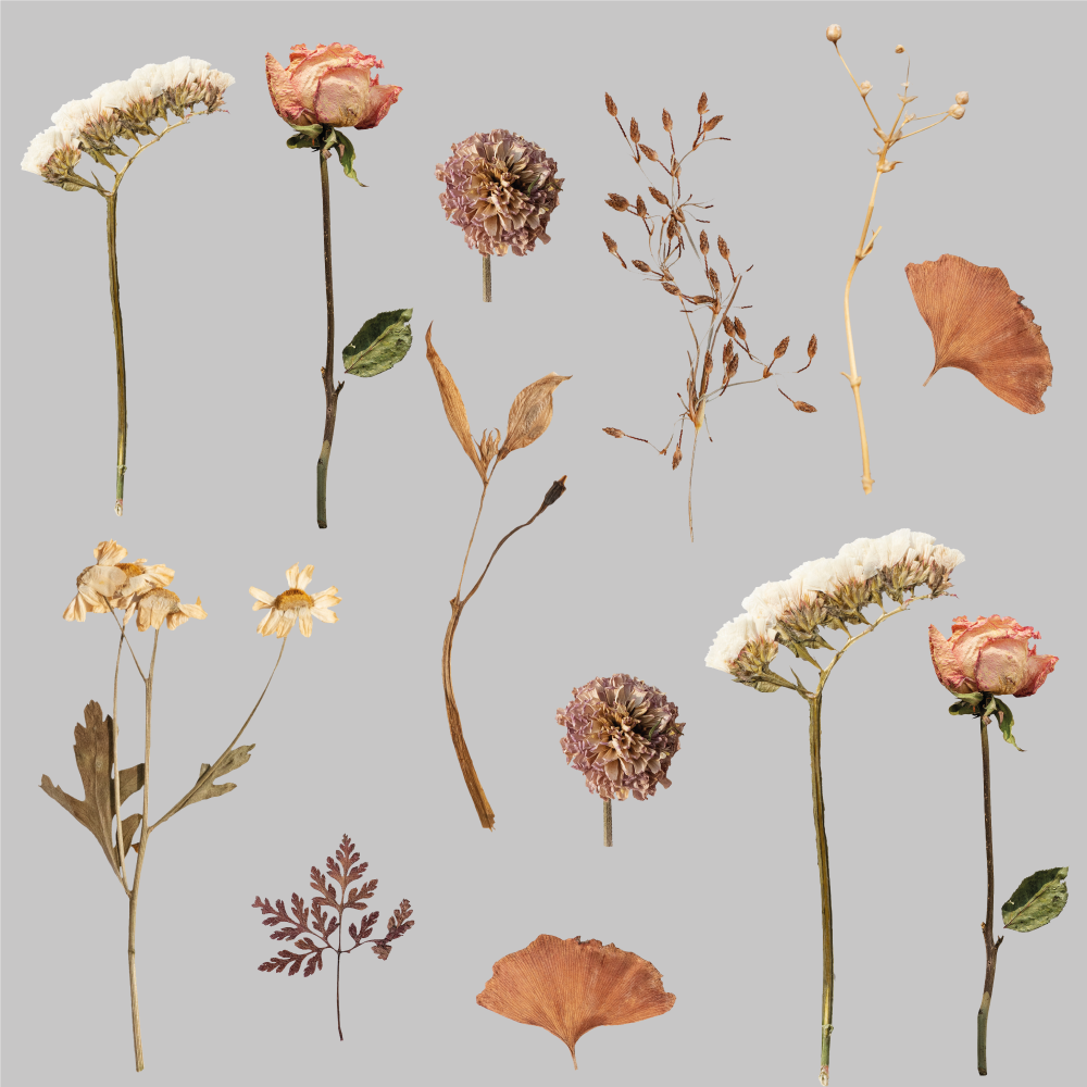 Vinyl tapijt bloemen en planten gedroogde bloemen bladeren - TenStickers