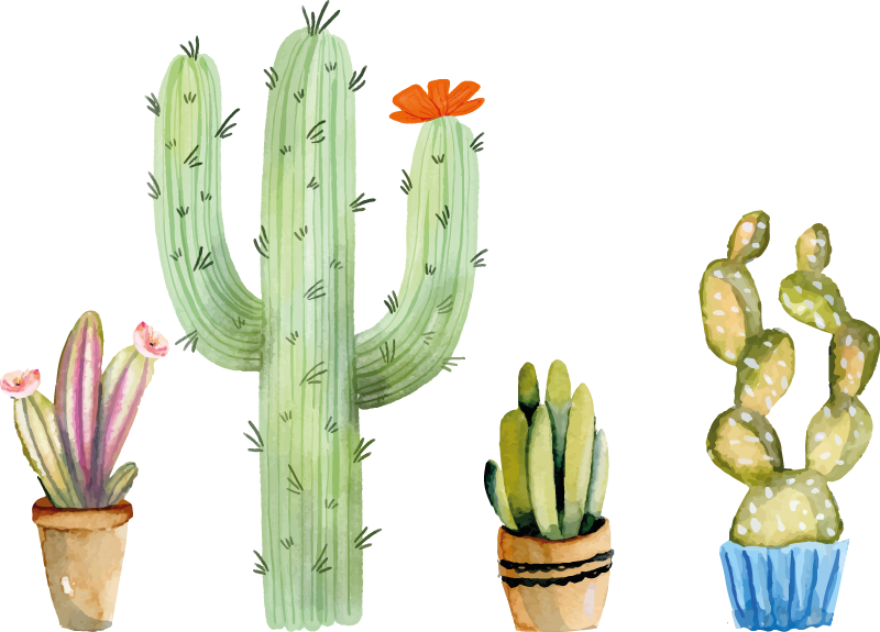 Vinyl tapijt eetkamer set variëteit aan cactussen - TenStickers