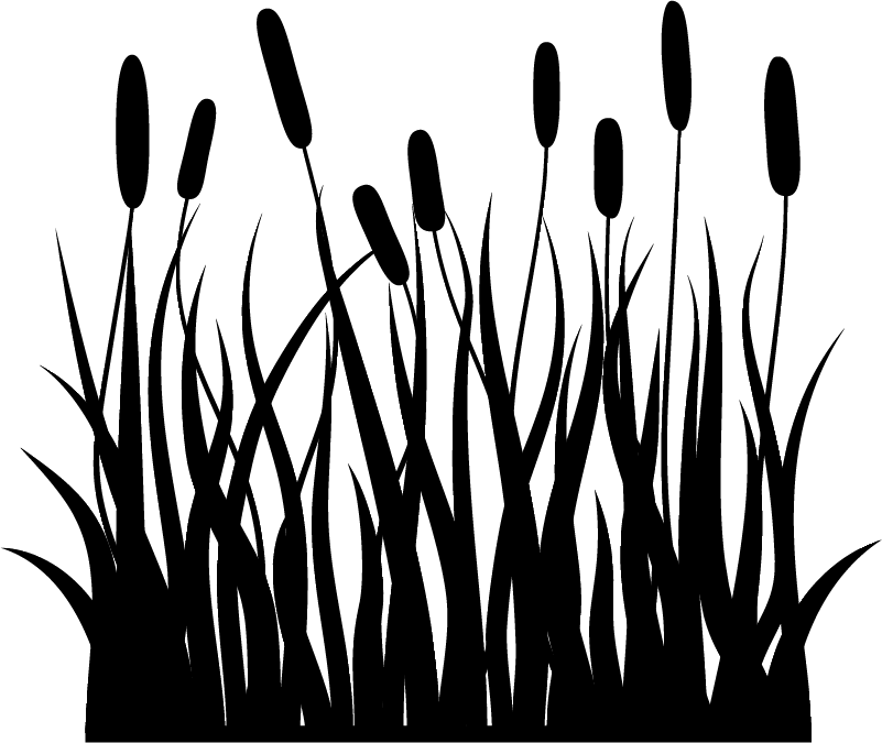 Vinyl tapijt badkamer juncos monokleur - TenStickers