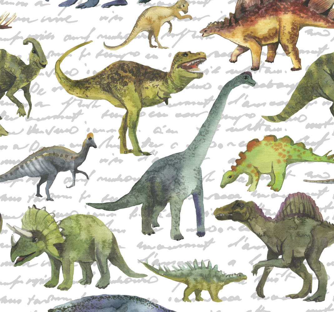 Vinyl tapijt slaapkamer realistische dinosaurussen - TenStickers