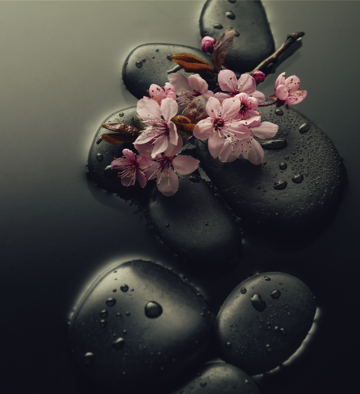 Vinyl tapijt natuur zen sfeer met steen voor toilet - TenStickers