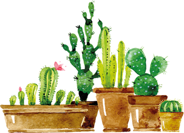 Vinyl tapijt bloemen en planten zelfgemaakte cactus tuin - TenStickers