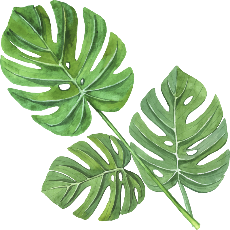 Vinyl tapijt bloemen en planten monstera aquarel bladeren - TenStickers