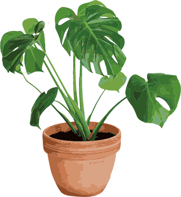 Vinyl tapijt bloemen en planten eenvoudige monstera pot - TenStickers