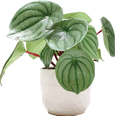 Vinyl tapijt bloemen en planten eenvoudige kamerplant - TenStickers