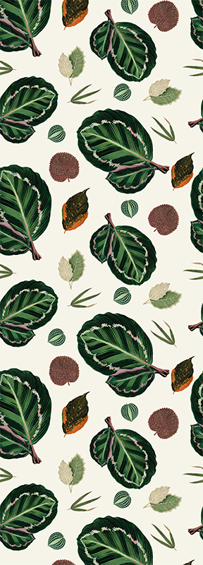 Vinyl tapijt slaapkamer groene rode maranta bladeren - TenStickers