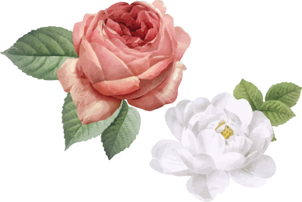 Vinyl tapijt slaapkamer witte en roze rozen - TenStickers