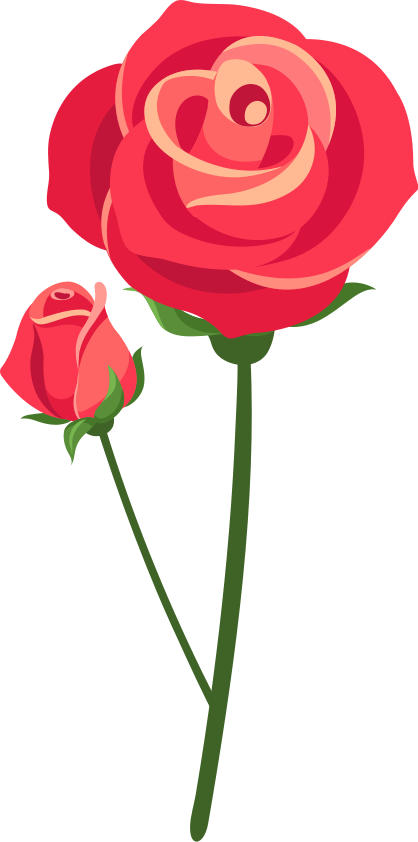 Vinyl tapijt slaapkamer 3d rozen - TenStickers