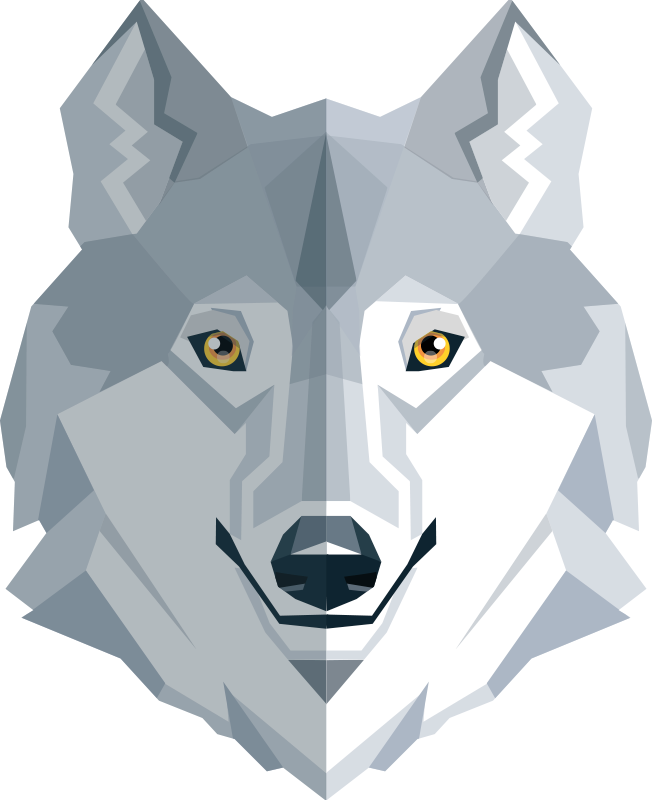 Vinyl tapijt slaapkamer abstract wolf ontwerp - TenStickers