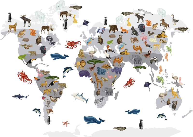 Vinyl tapijt wereldkaart in nordic stijl muurstickers - TenStickers