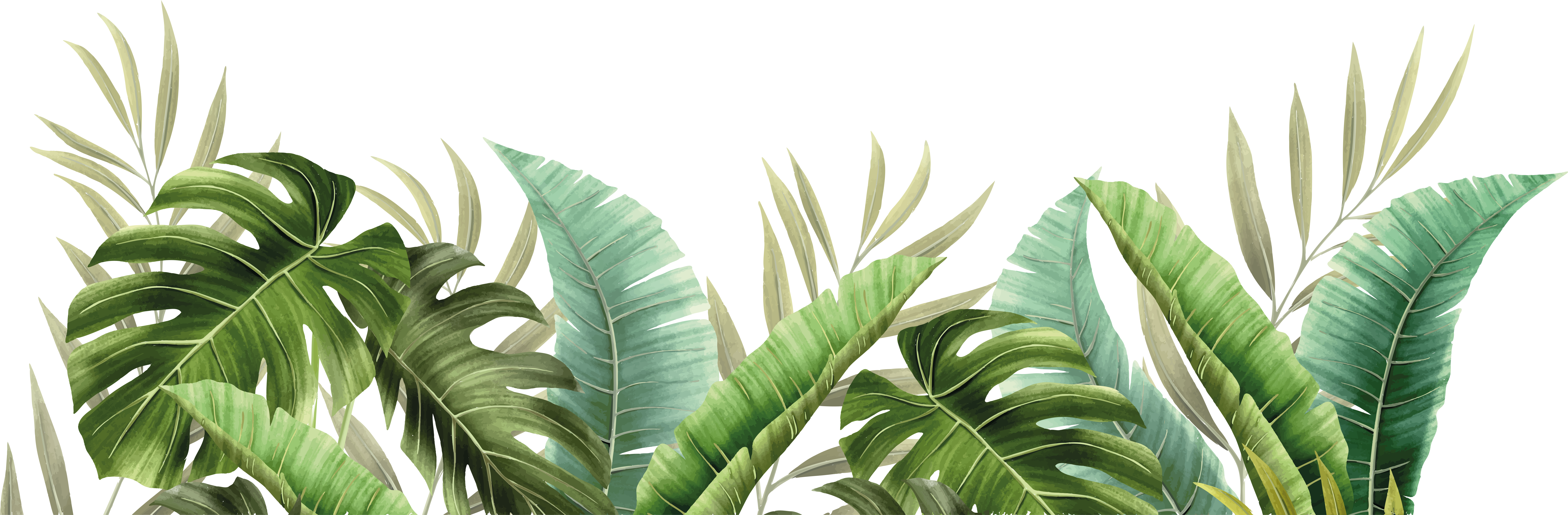 Vinyl tapijt badkamer tropische planten - TenStickers