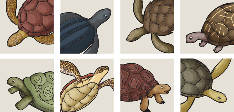 Vinyl tapijt badkamer met verschillende schildpadtegels - TenStickers