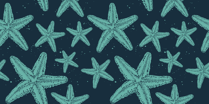 Vinyl tapijt badkamer starfish bluetones meubel - TenStickers