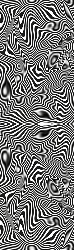 Vinyl tapijt badkamer zebra 3d effect douche - TenStickers