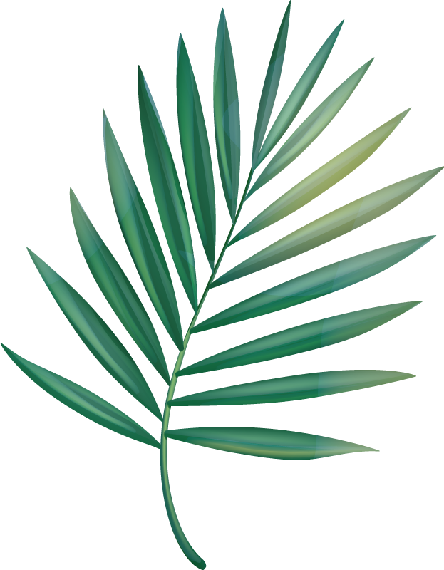 Vinyl tapijt badkamer leaf palm - TenStickers