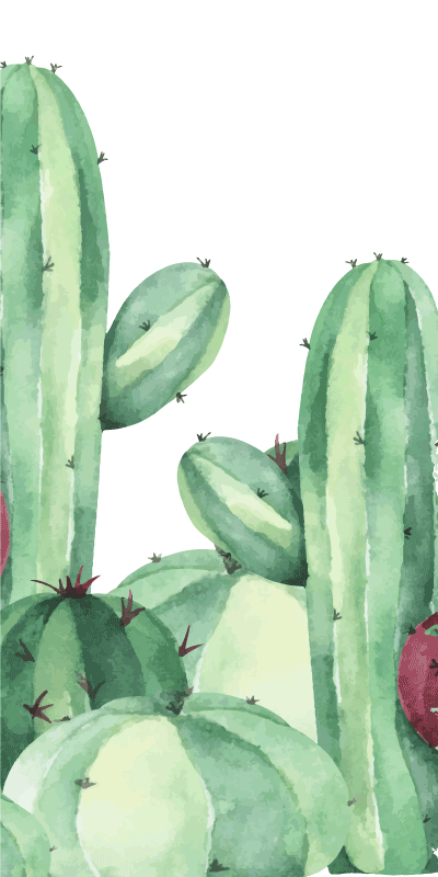 Vinyl tapijt badkamer cactusplanten - TenStickers