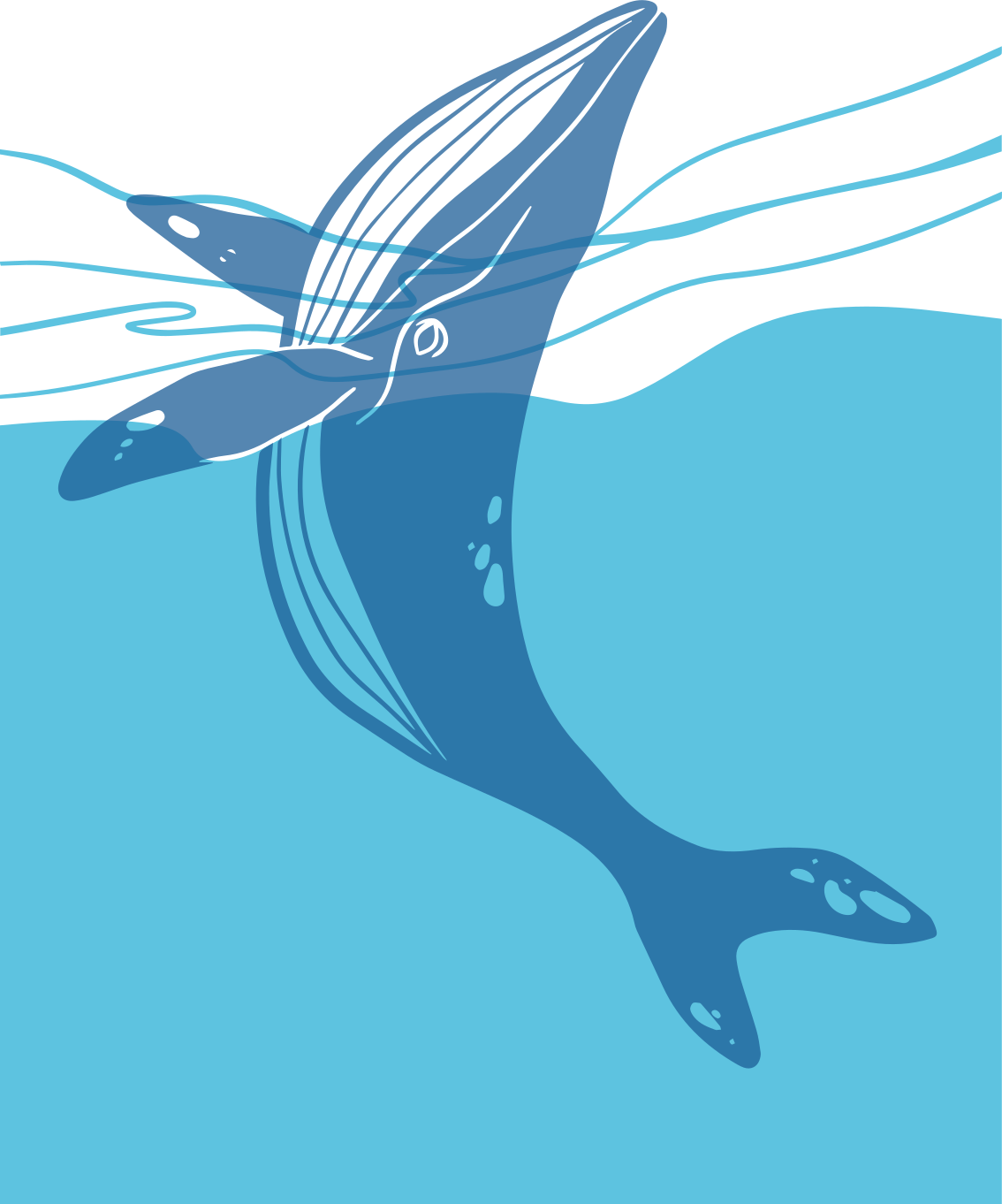 Vinyl tapijt badkamer walvis douche scherm stickers - TenStickers
