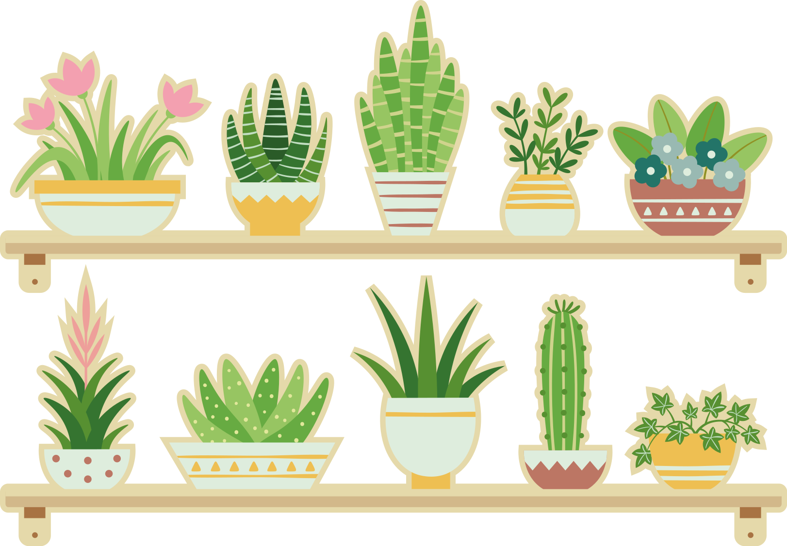 Vinyl tapijt keuken cactus planten set rek - TenStickers