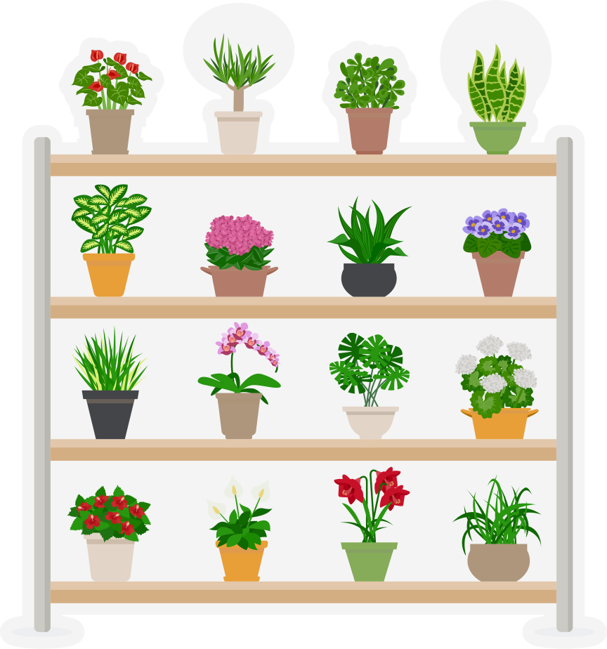 Vinyl tapijt keuken met kamerplanten op planken - TenStickers