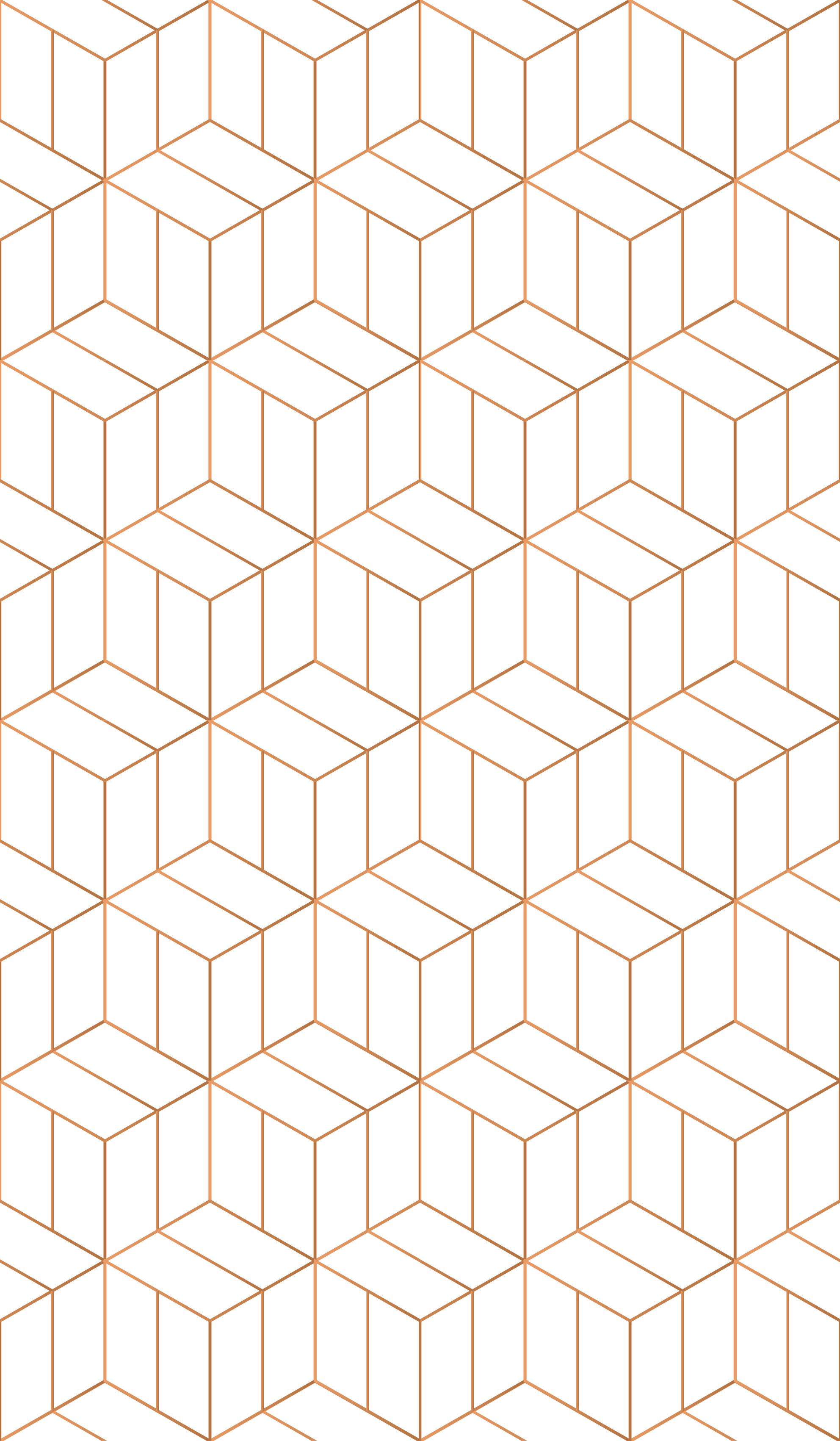 Vinyl tapijt modern moderne verschillende octagons - TenStickers