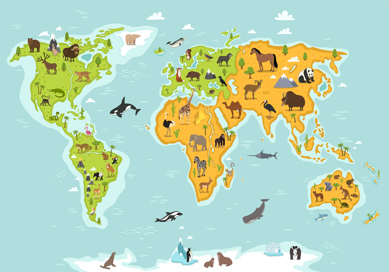 Vinyl tapijt wereldkaart met dieren en planten - TenStickers
