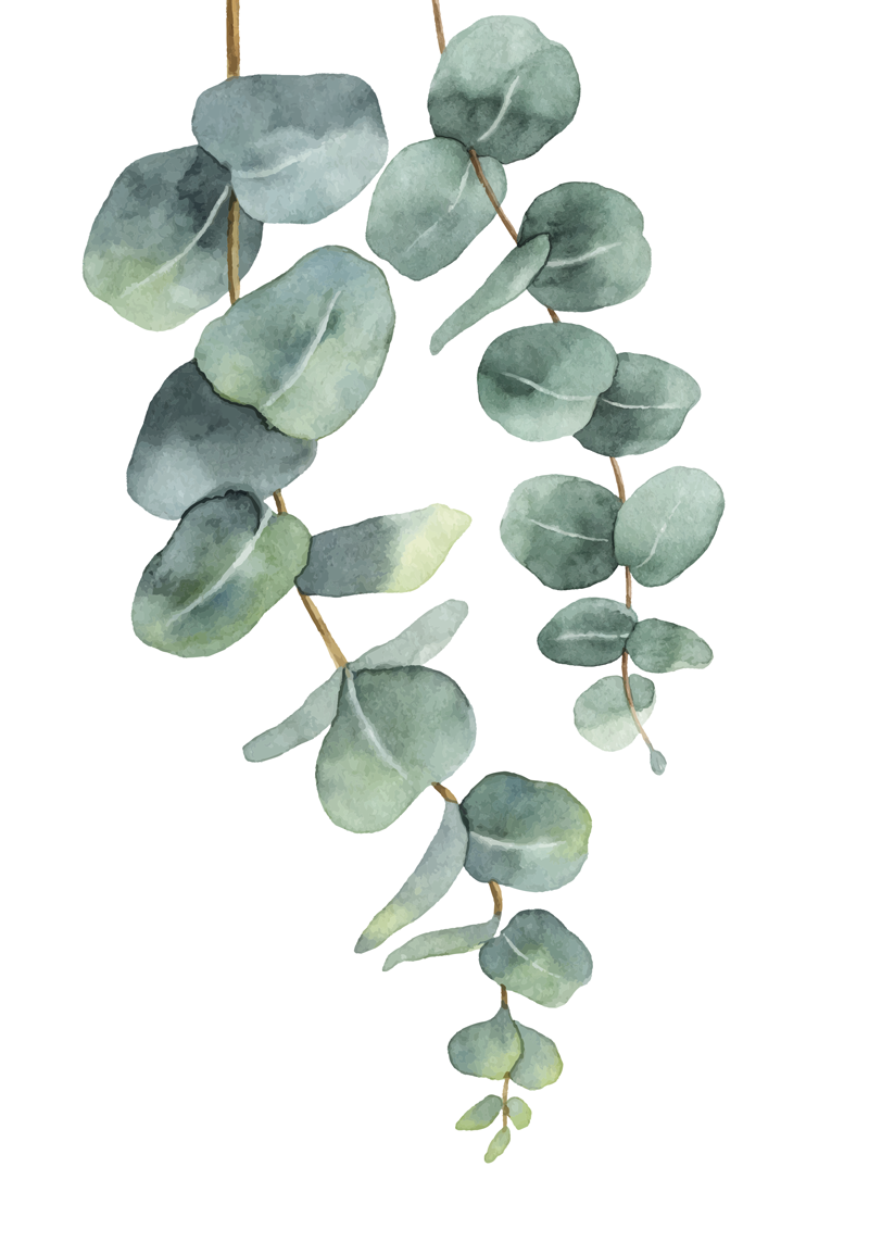 Vinyl tapijt bloemen en planten eucalyptus takken - TenStickers