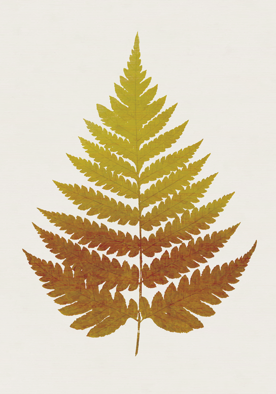 Vinyl tapijt bloemen en planten gouden varenblad - TenStickers