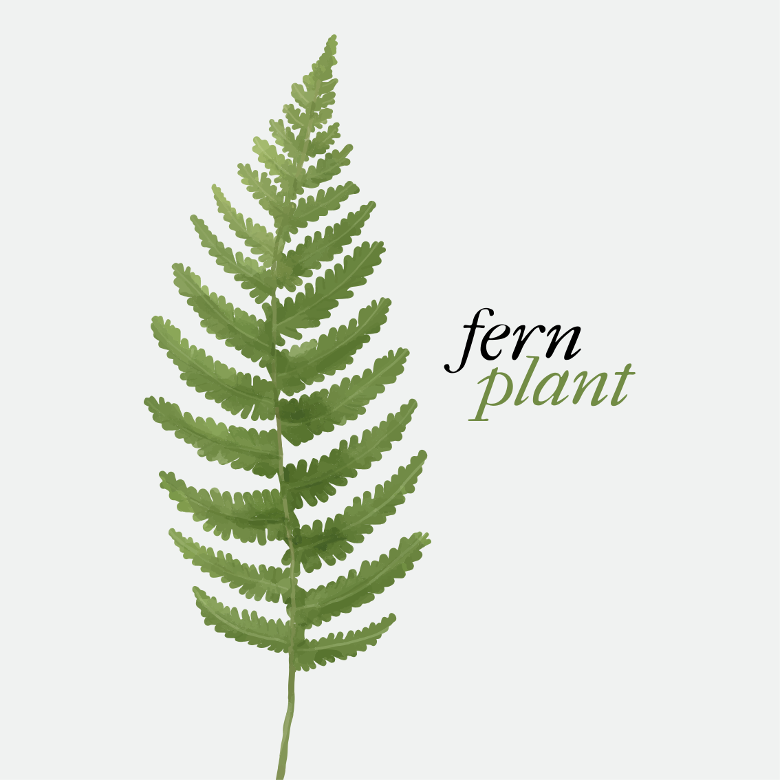 Vinyl tapijt zinnen en teksten fern plant minimalistisch 2 - TenStickers