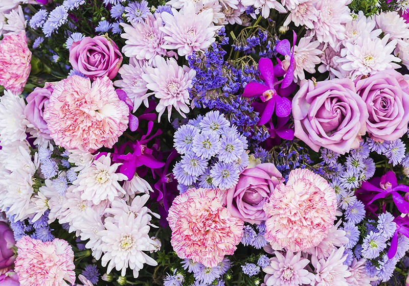 Vinyl tapijt paars bloemen fotobehang - TenStickers