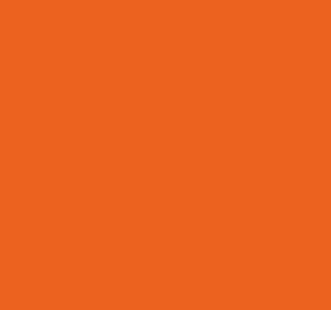 Vinyl tapijt oranje citrus sinaasappel - TenStickers