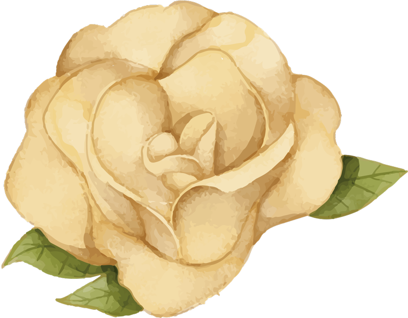 Bloemencontour vinyl tapijt bloemen en planten - TenStickers