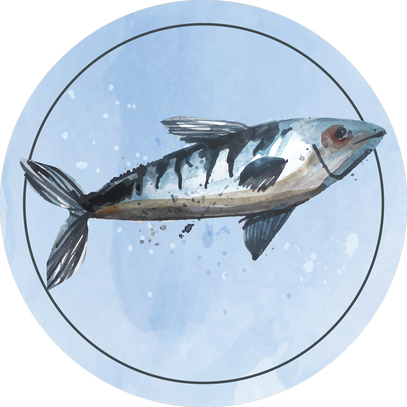 Aquatische verkenning dieren vinyl tapijt - TenStickers