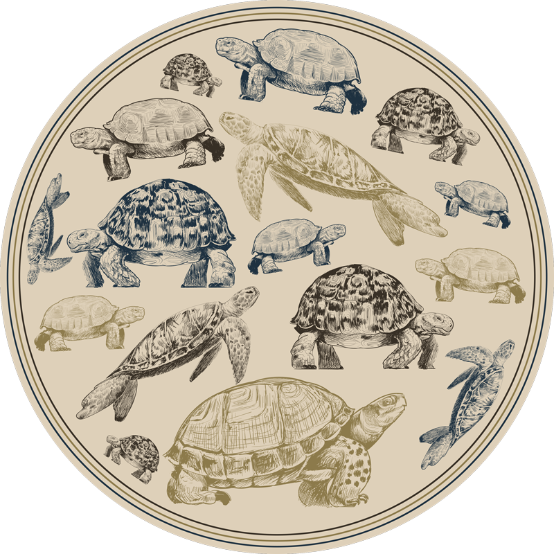 Schildpad illustraties dieren vinyl tapijt - TenStickers