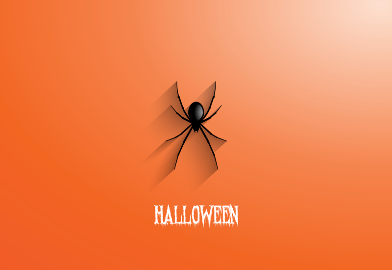 Vinyl tapijt halloween halloween spin spider - TenStickers