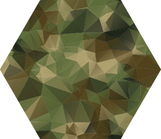 Geometrische patroon zeshoek vinyl tapijt geometrisch - TenStickers