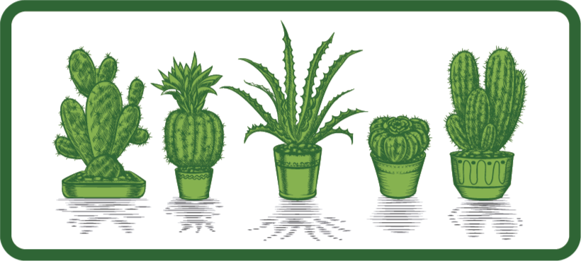 Cactuscollectie vinyl tapijt bloemen en planten - TenStickers