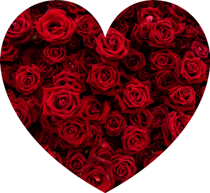 Hartvormige romantiek vinyl tapijt bloemen en planten - TenStickers