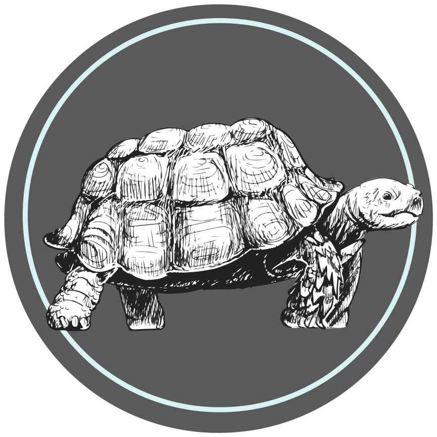 Geïllustreerde schildpad dieren vinyl tapijt - TenStickers