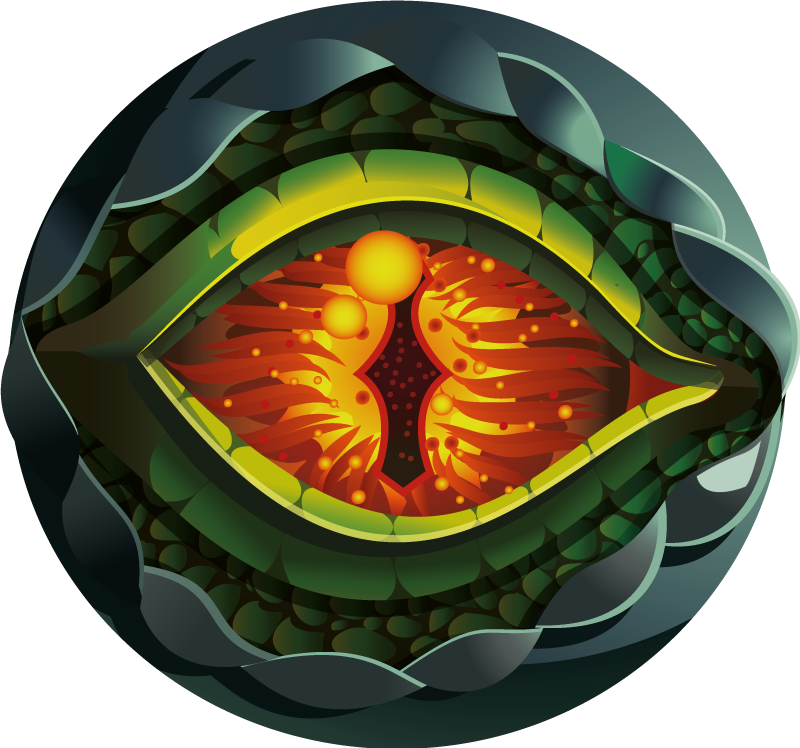 Abstract natuuroog vinyl tapijt natuur - TenStickers