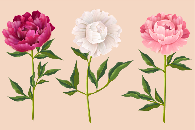 Elegante trio-arrangement vinyl tapijt badkamer - TenStickers