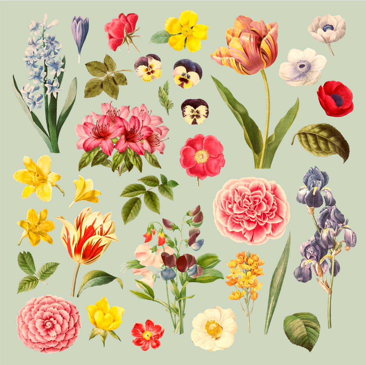 Vinyl tapijt bloemen en planten botanische collectie - TenStickers