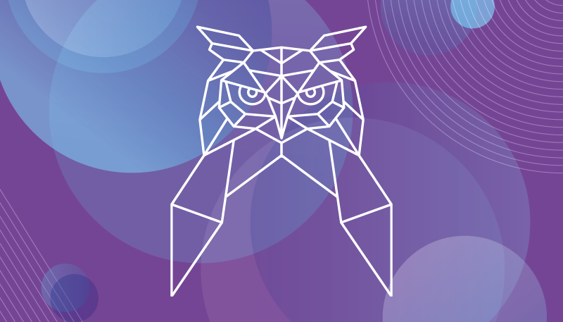 Geometrische uilenkunst dieren vinyl tapijt - TenStickers