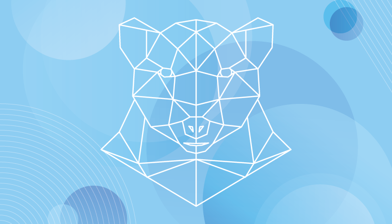 Geometrische beren omtrek dieren vinyl tapijt - TenStickers