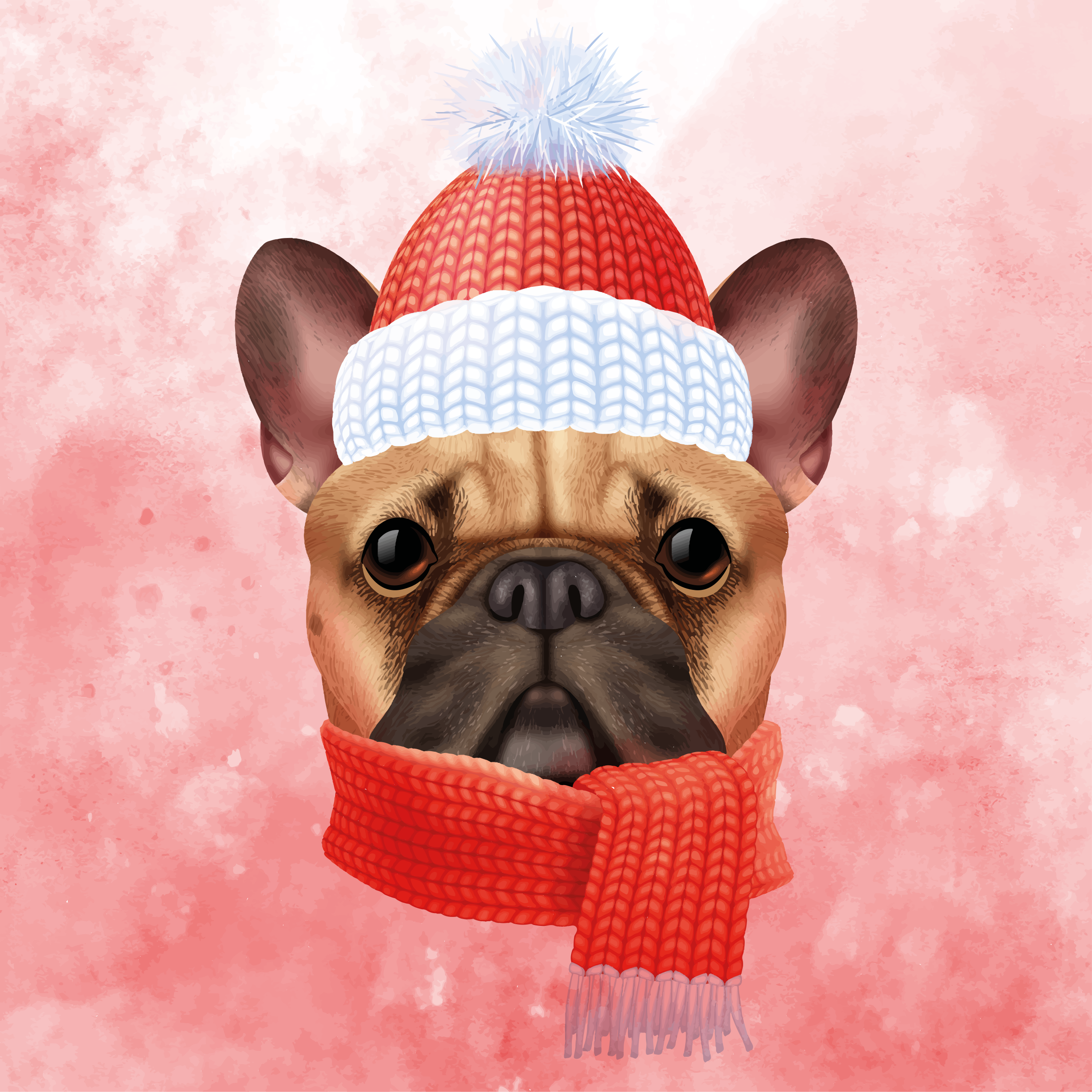 Franse bulldog winter dieren vinyl tapijt - TenStickers