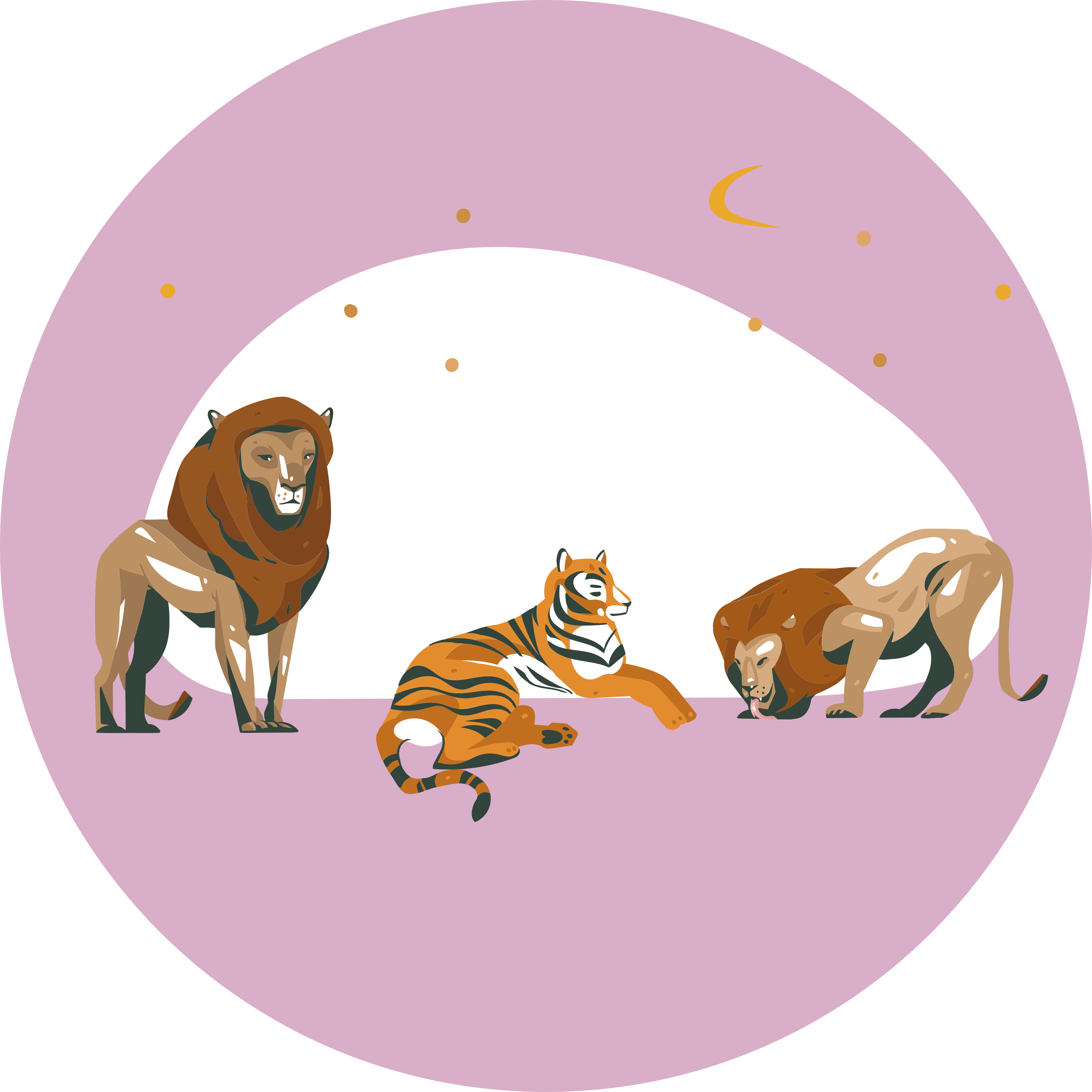 Safari wilde fauna dieren vinyl tapijt - TenStickers