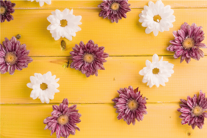 Roze en witte bloemblaadjes vinyl tapijt bloemen en planten - TenStickers