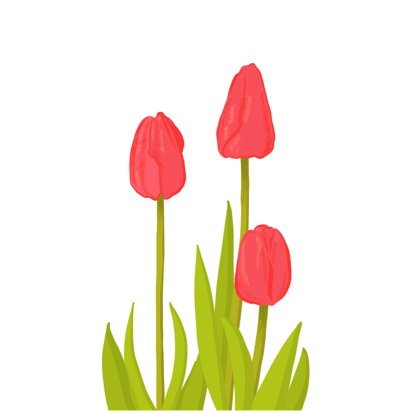 Levendige tulpenbloesem vinyl tapijt bloemen en planten - TenStickers
