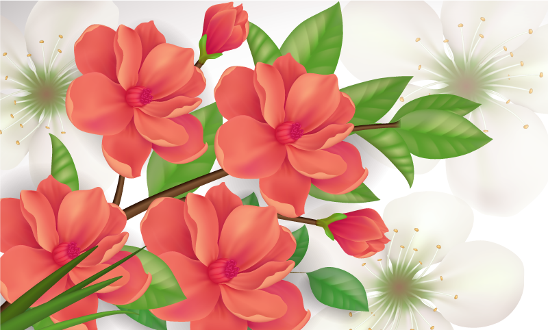 Kleurrijk bloesemarrangement vinyl tapijt bloemen en planten - TenStickers